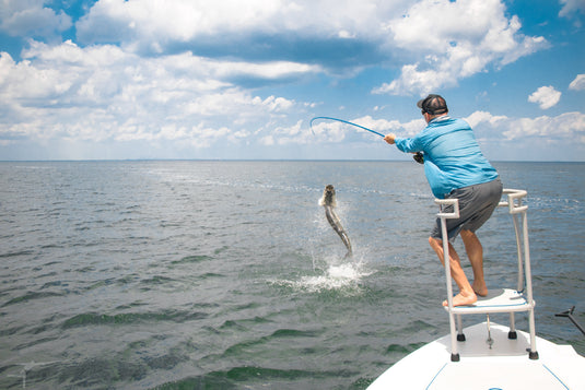 Tim Rajeff engaging with a Tarpon